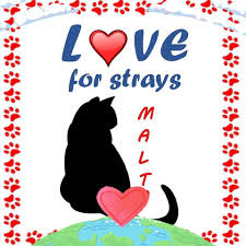 Love for Strays Malta